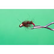 5814_Нимфа Блескучий медведь