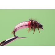 5842- Нимфа Ручейник голый