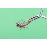 5853-12 Нимфа Веснянка №12