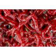 Мотыль насадочный