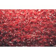 Мотыль кормовой