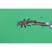 5860- Нимфа перлида