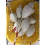 Поплавок верховой Пуля 30-40 гр