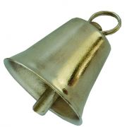 Колокольчик толстостенный